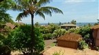 Maui Wowie!