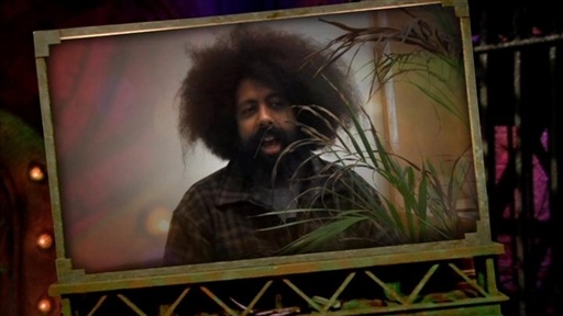 Internet Personality Test: Reggie Watts Video