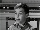 The Donna Reed Show | Season 1 Episode 17 | Nothing But the Truth