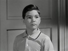 The Donna Reed Show | Season 1 Episode 23 | The Report Card