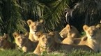 Wild: Relentless Enemies (season 6, episode 2)