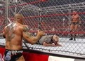 Ric Flair vs. Randy Orton picture