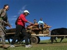 Moving With Mongolians