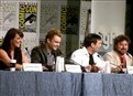 Sanctuary Panel Highlight: What's up with Ashley? picture