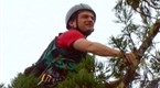 Explorer: View From The Treetops