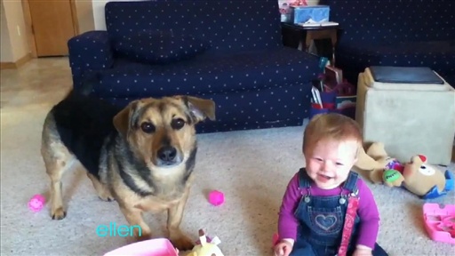 funny dog videos. Ellen Found Funny Dog Videos!