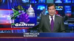 The Grapevine w/ Brit Hume: Jul 2, 2009