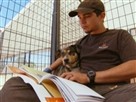 DogTown | Dog Therapy