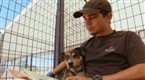DogTown: Dog Therapy