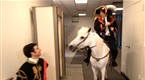 The Daily Show with Jon Stewart: Moment of Zen - Jon Rides a Horse