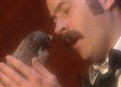 The Falconer: Indecent Proposal picture