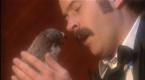 The Falconer: Indecent Proposal