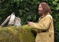 The Falconer: The Switch picture