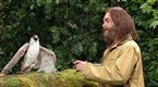 The Falconer: The Switch