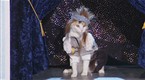 bing-a-thon: Cool Cat #2