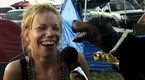 The Tonight Show with Conan O'Brien: Triumph Visits Bonnaroo, Part 2