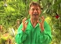 Stephen: Winner Predictions picture