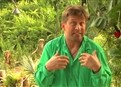 Stephen: Straight From the Jungle! picture