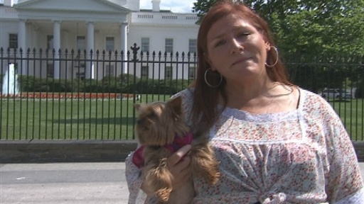 Ruby's Walk Across America: D.C.