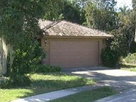 Weird News | Hundreds of Thousands of Bees Invade Fla. Home