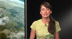 IGN: Halo 3 &amp; Movie News