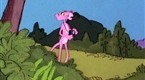 Pink Panther Cartoons: Pink Pictures