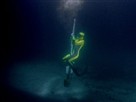 Flipper | Season 4 Episode 10 | Free Diving