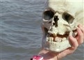 Kidd's Treasure picture