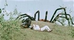 Giant Spider Invasion