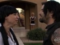 Sex Decoy: Love Stings - Sugar Mama
