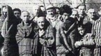 NBC Nightly News with Brian Williams: Preserving Holocaust History