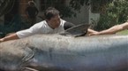 Hooked: Monster Fish! (season 1, episode 1)