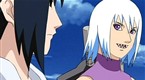 Naruto Shippuden: Guardian of the Iron Wall (season 4, episode 116)