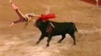 Thrill Zone: Bullfighting