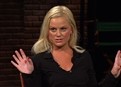 Amy Poehler - SNL picture