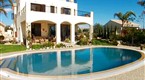Combing the Choices in Cyprus