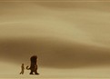 Where the Wild Things Are, Paranormal Activity, & Law Abiding Citizen picture