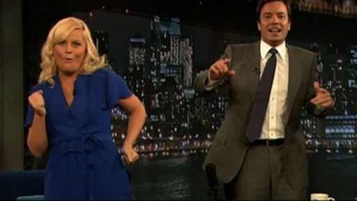 Amy Poehler