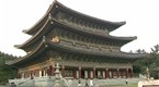 On Surfari: Korea (season 1, episode 7)