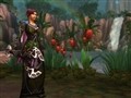Tourist Guide: World of Warcraft In-Game Vacations