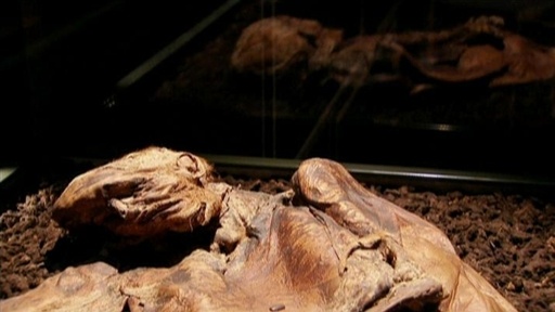 Ancient Human Sacrifice