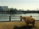 Mammoth Meditation