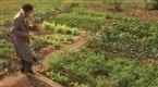 Milestones in Science &amp; Engineering: Justus von Liebig – Agriculture Chemistry