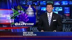 The Grapevine w/ Brit Hume: Thu, Jul 9, 2009