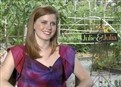 play video on Hulu