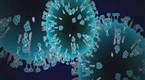 UK Offers Online Swine Flu Assessment