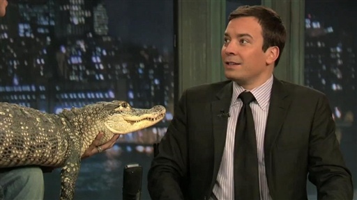 Jeff Musial's Animals, Part 2