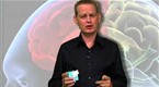 Business Book Briefs: Buy.ology by Martin Lindstrom