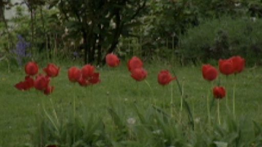 The City of Roses