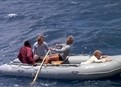 Sharks' Treasure picture